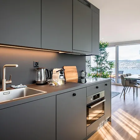 Aestate Living Lakeview In Horgen Zuerich Zug Pfaeffikon Exteriér fotografie